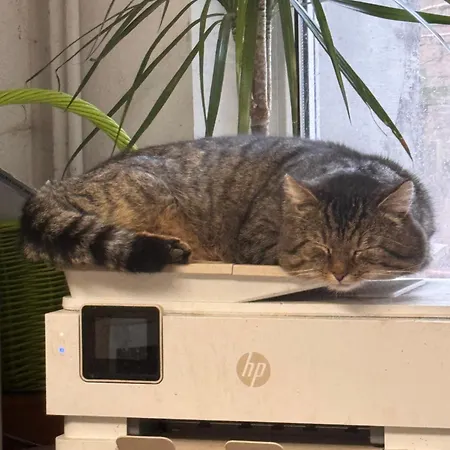 Farm Gina Free Wifi Alloggio in famiglia