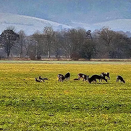 Rum i privatbostad Farm Gina Free Wifi Hausbreitenbach