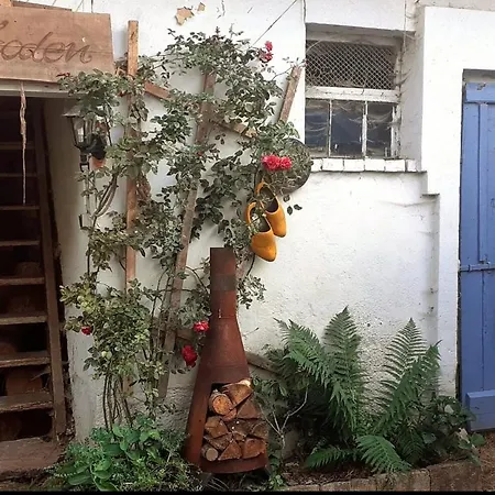 Farm Gina Free Wifi Alloggio in famiglia