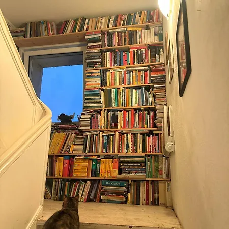 Farm Gina Free Wifi *