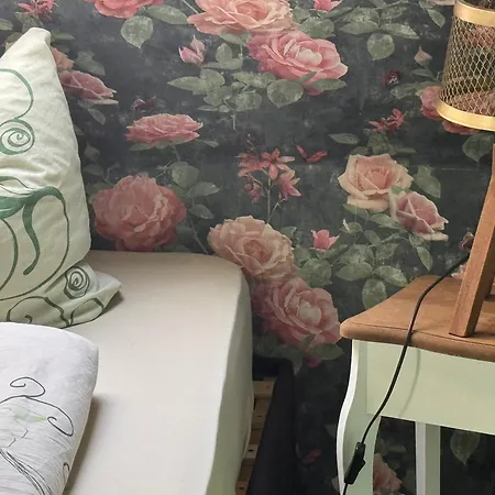 Farm Gina Free Wifi Hausbreitenbach